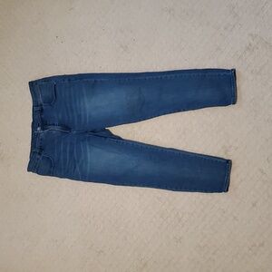 Universal Standard Seine Mid Rise Skinny Jeans, Distressed Blue, 27” Inseam